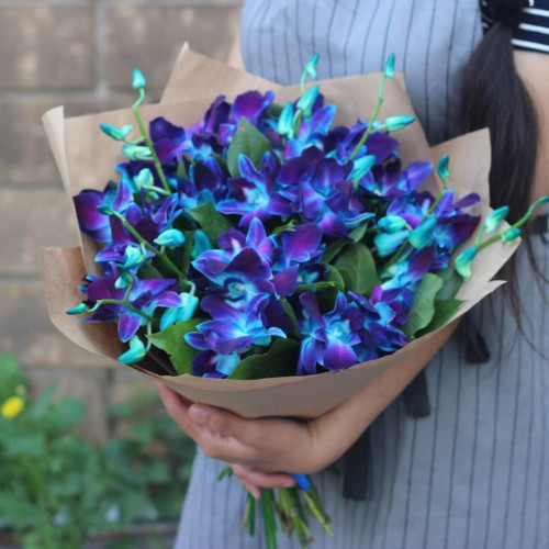 Букет из 9 синих орхидей