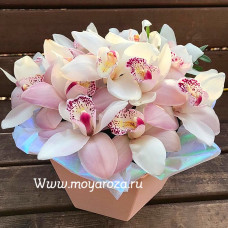 Цветы в коробке «Сад орхидей»