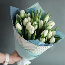 Букет из 19 белых тюльпанов
